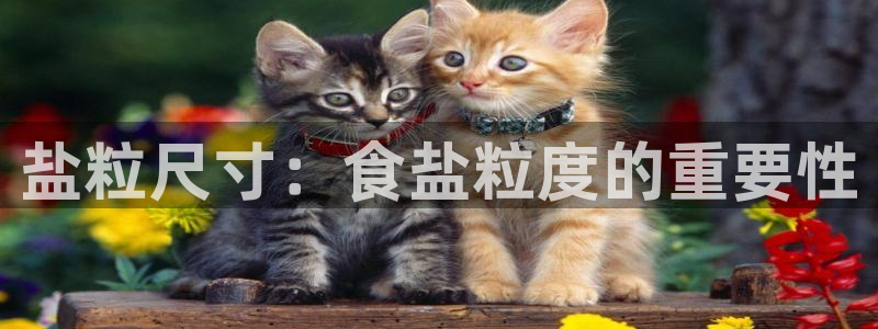 威九国际发布新版eBzxin2Tp