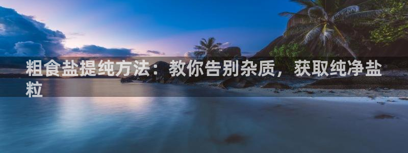 威九国际下载官网app