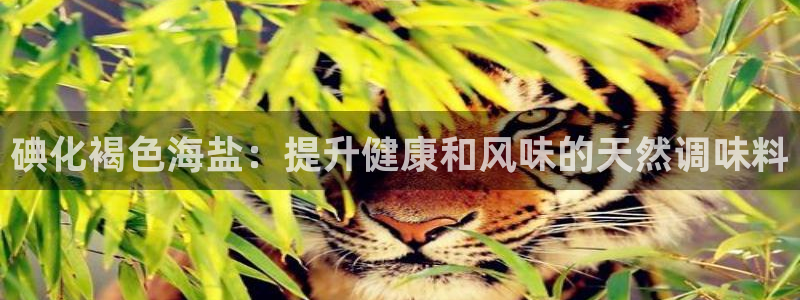 威九国际游戏app(网站)