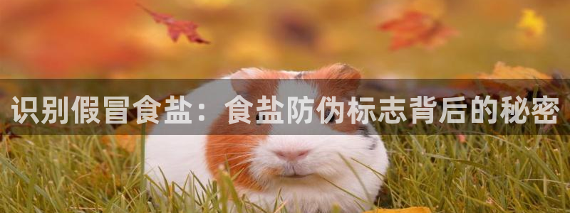 威九国际精免费下载