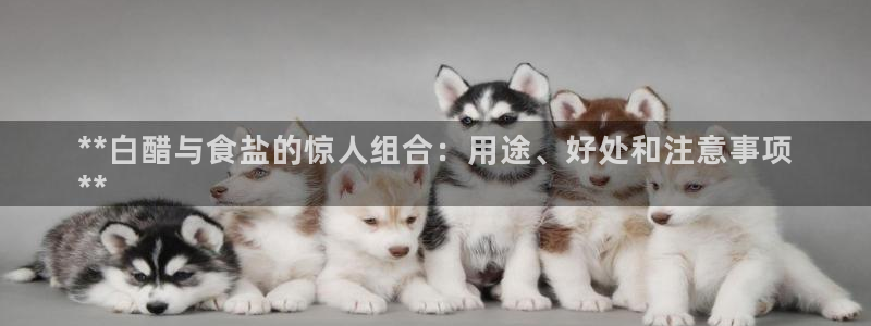 威九国际MM