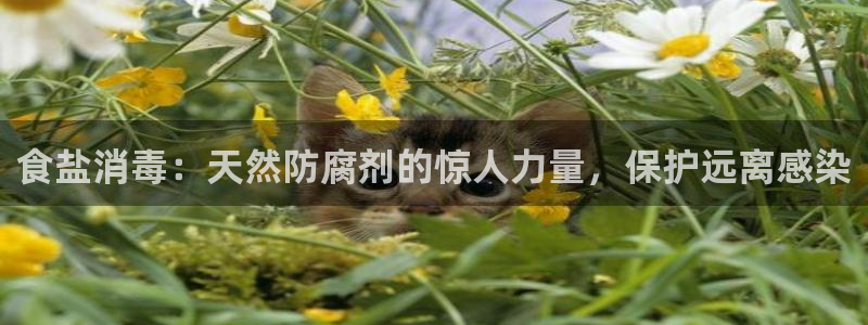 威九国际78m域名