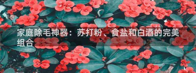 威九国际78mob游戏说明