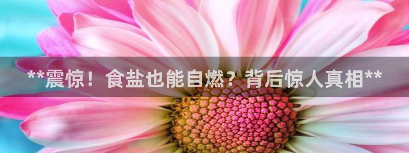 威九国际空降