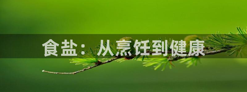 威九国际APP那个地方