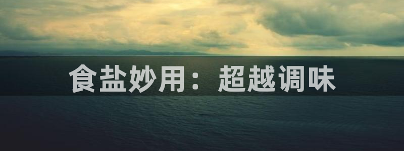 威九国际小说