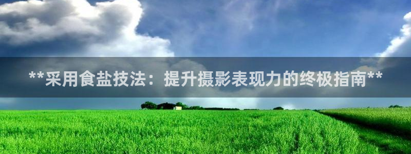 威九国际网站传媒招聘