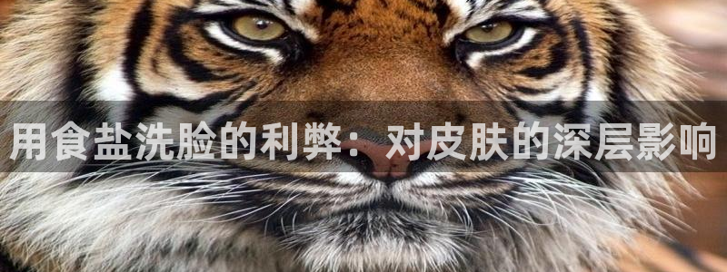 威九国际网站在哪里