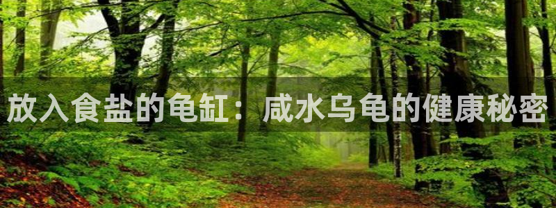 威九国际软件