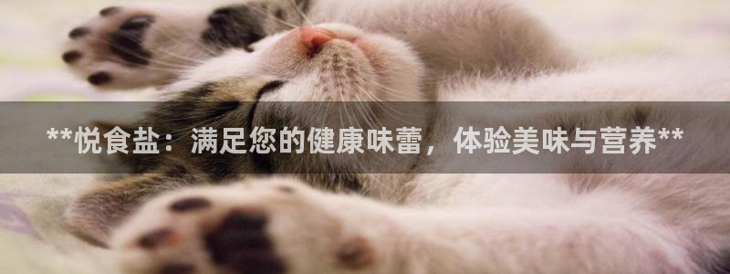 威九国际网站是多少