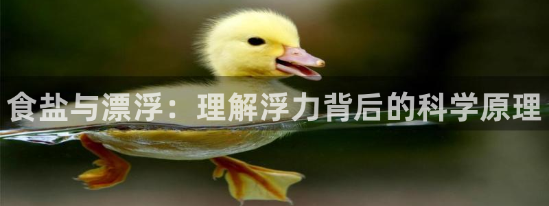 威九国际78mb下载