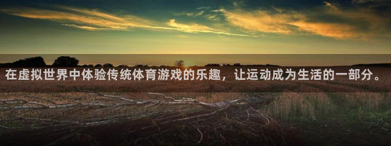 必一运动app：在虚拟世界中体验传统体育游戏的乐趣，让运动成为生活的一部分。