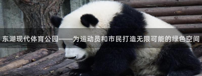 必一运动：东湖现代体育公园——为运动员和市民打造无限可能的绿色空间