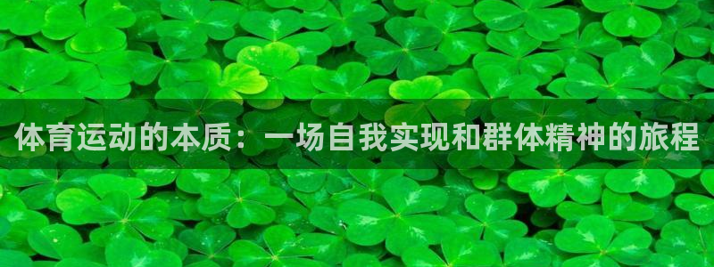 b体育必一运动官网：体育运动的本质：一场自我实现和群体精神的旅程