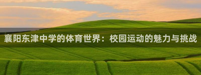 必一运动：襄阳东津中学的体育世界：校园运动的魅力与挑战