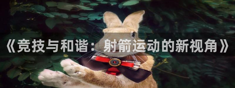必一运动：《竞技与和谐：射箭运动的新视角》