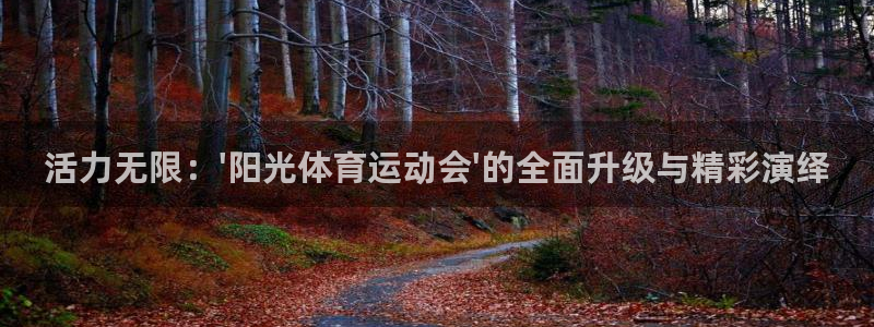 b体育必一运动官网：活力无限：\'阳光体育运动会\'的全面升级与精彩演绎