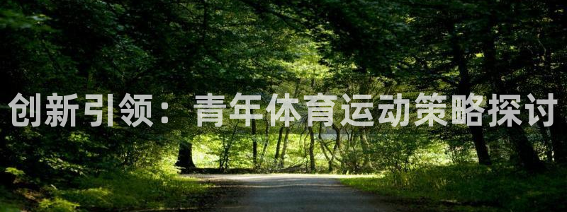 必一运动：创新引领：青年体育运动策略探讨
