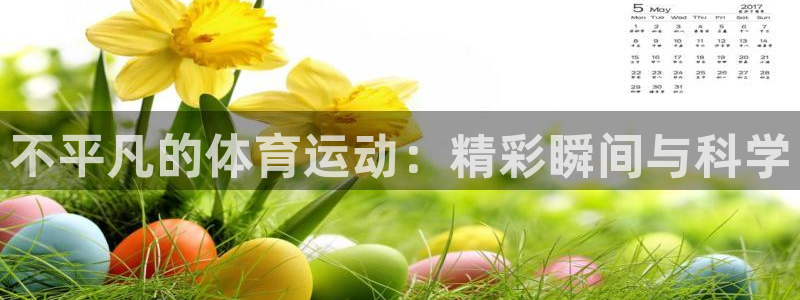 bsports官网 必一运动：不平凡的体育运动：精彩瞬间与科学