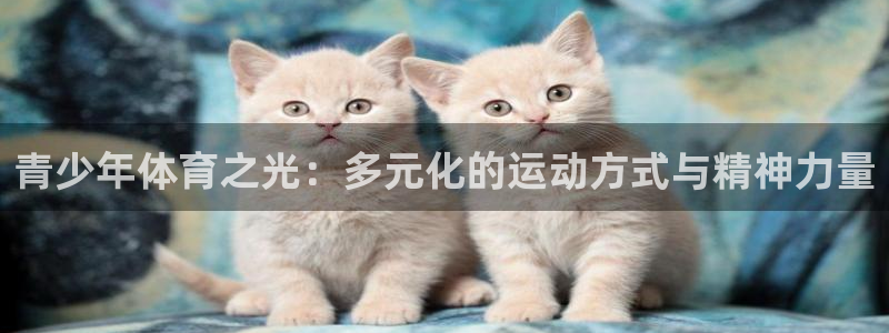 必一运动官网入口：青少年体育之光：多元化的运动方式与精神力量