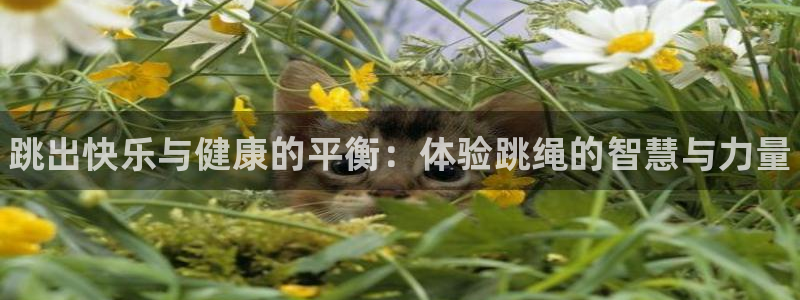必一运动：跳出快乐与健康的平衡：体验跳绳的智慧与力量