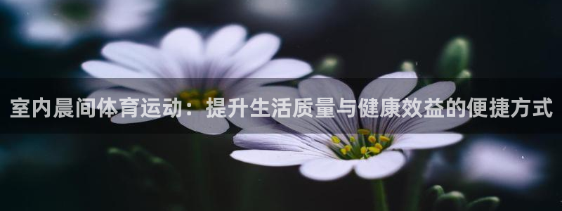 必一运动官网入口