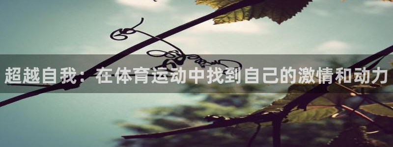 b体育必一运动官网：超越自我：在体育运动中找到自己的激情和动力