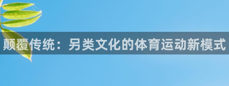 必一运动体育官网：颠覆传统：另类文化的体育运动新模式