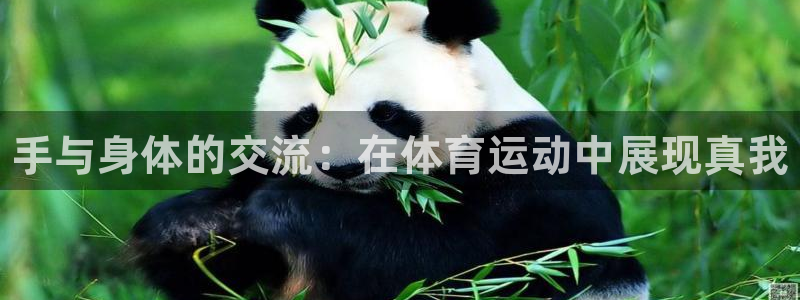 必一运动：手与身体的交流：在体育运动中展现真我