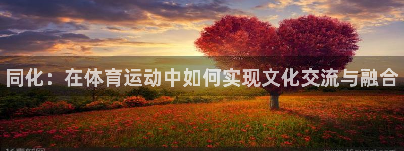 bsports必一运动：同化：在体育运动中如何实现文化交流与融合