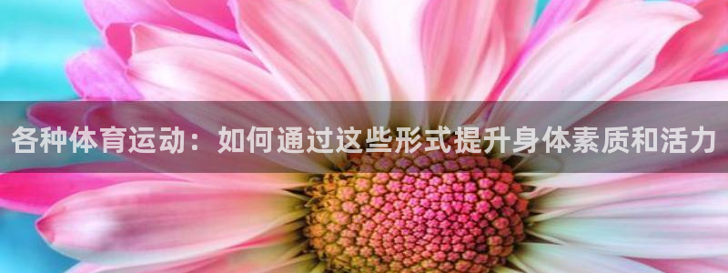 必一运动bsport体育：各种体育运动：如何通过这些形式提升身体素质和活力