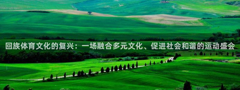 必一运动：回族体育文化的复兴：一场融合多元文化、促进社会和谐的运动盛会