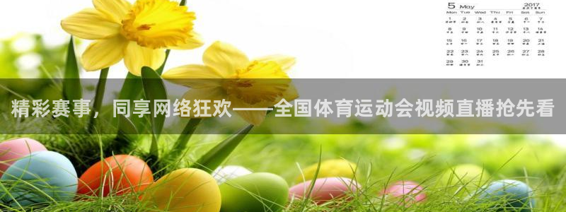必一运动bsport体育：精彩赛事，同享网络狂欢——全国体育运动会视频直播抢先看