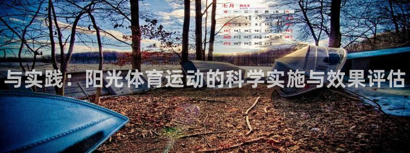 必一运动体育官网：与实践：阳光体育运动的科学实施与效果评估