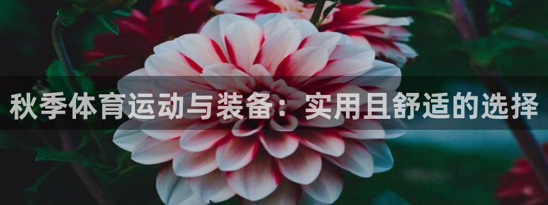 b体育必一运动官网：秋季体育运动与装备：实用且舒适的选择