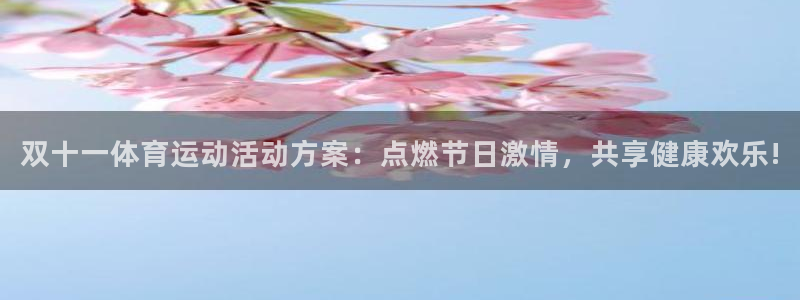 bsports官网 必一运动：双十一体育运动活动方案：点燃节日激情，共享健康欢乐!