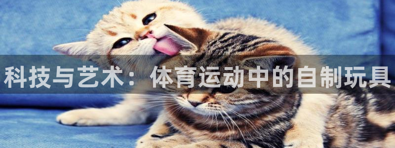必一运动官网：科技与艺术：体育运动中的自制玩具