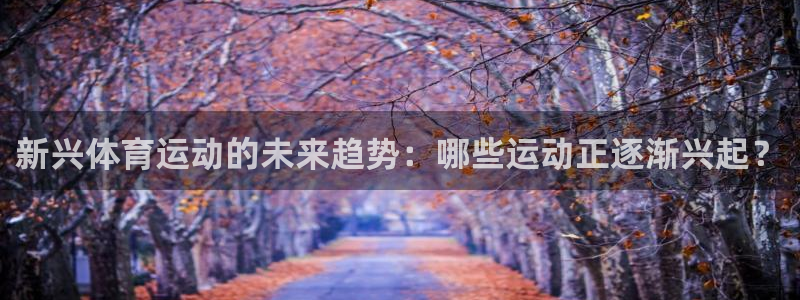 必一运动体育官网