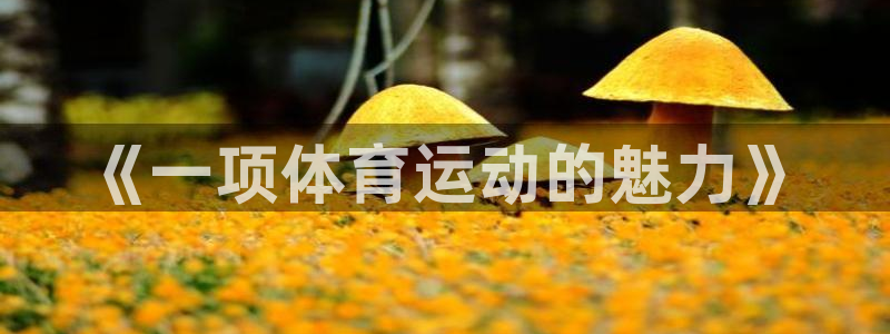 必一运动bsport体育：《一项体育运动的魅力》