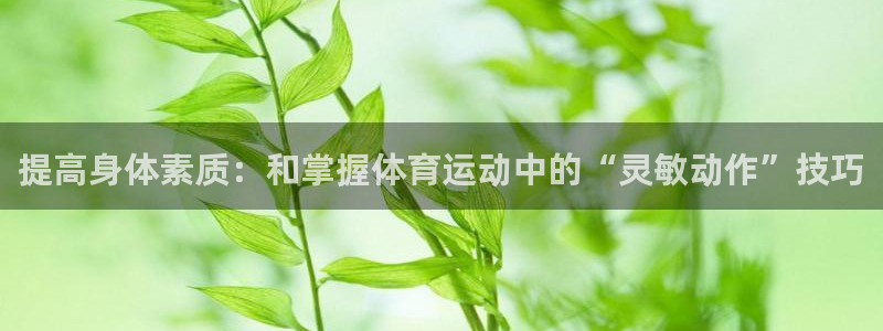 必一运动体育官网
