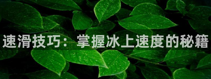 必一运动app：速滑技巧：掌握冰上速度的秘籍