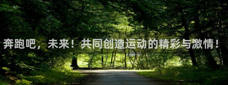 b体育必一运动官网