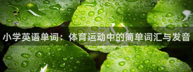 bsports官网 必一运动