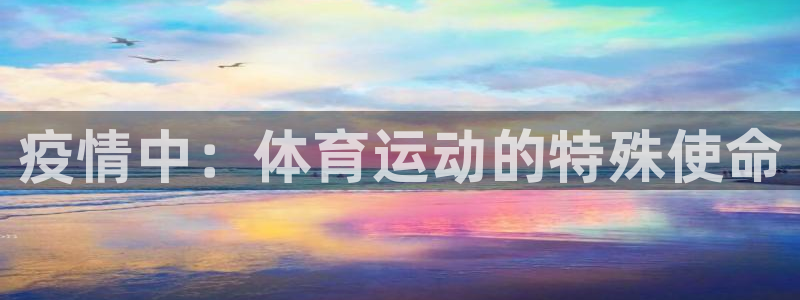 必一运动bsport体育