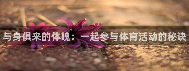 必一运动官网入口：与身俱来的体魄：一起参与体育活动的秘诀