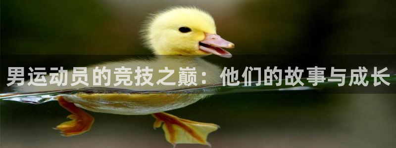 bsports必一运动：男运动员的竞技之巅：他们的故事与成长