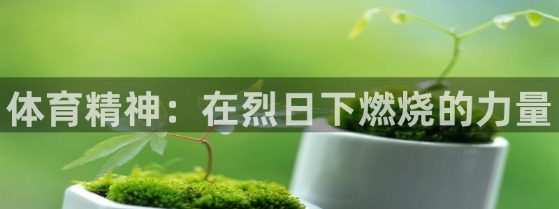 必一运动官网