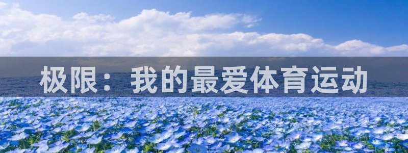 必一运动：极限：我的最爱体育运动