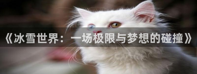 bsports必一运动：《冰雪世界：一场极限与梦想的碰撞》