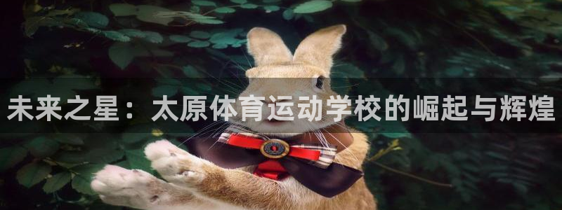 b体育必一运动官网
